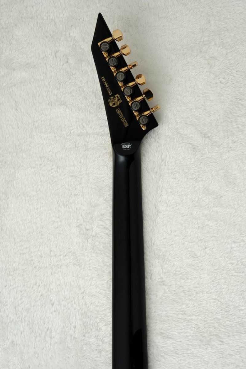 E-HORIZON-CTM 50TH -Black Aqua Burst C / Blue Pearl Back