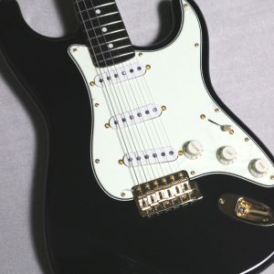 Vanzandtのエレキギター検索結果一覧 | 【クロサワ楽器店オンライン