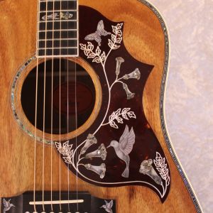 Gibson 【超希少】 Dealer Select Custom Shop Hummingbird Custom ALL KOA 【分割手数料0%】【送料当社負担】