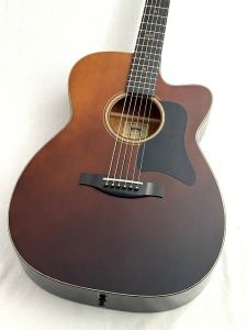 GOLD TONE、スプルースのアコースティックギター検索結果一覧