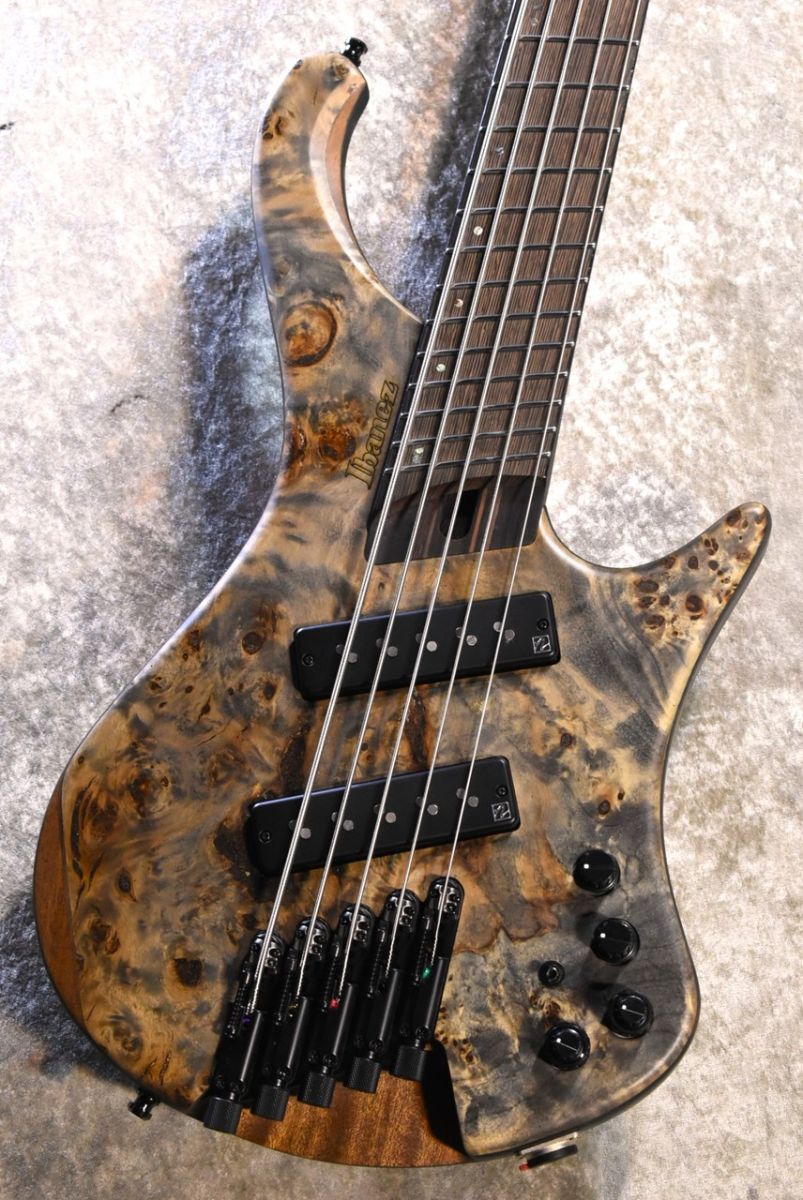 EHB1505MS -BIF- #I 250905599 | 【クロサワ楽器店オンラインショップ