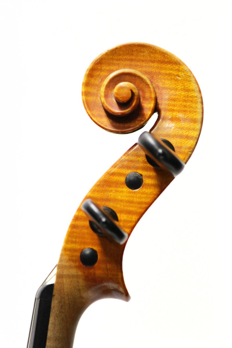 Renato Scrollavezza | 【クロサワ楽器店オンラインショップ】いい楽器