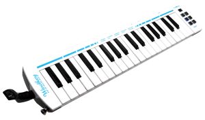 黒沢楽器&長野楽器 DOVEモデル(送料込) 黒沢楽器&長野楽器 DOVEモデル(送料込)