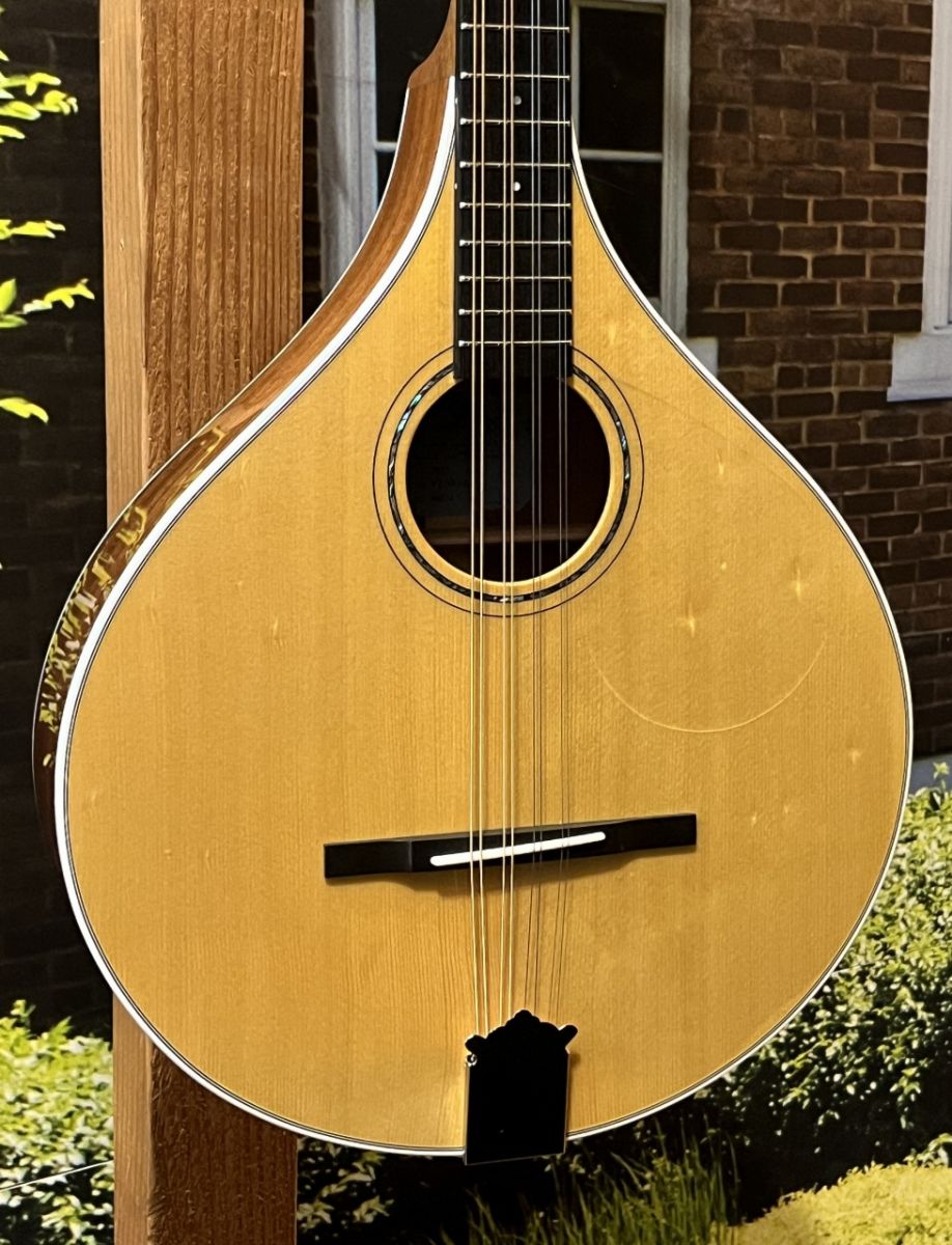 アコースティックギター　製作途中　ジャンク　各パーツ付き VZ-30 NL #92570 | 【クロサワ楽器店オンラインショップ】いい楽器との