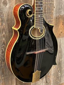 フラットマンドリンの商品検索結果一覧 | 【クロサワ楽器店オンライン