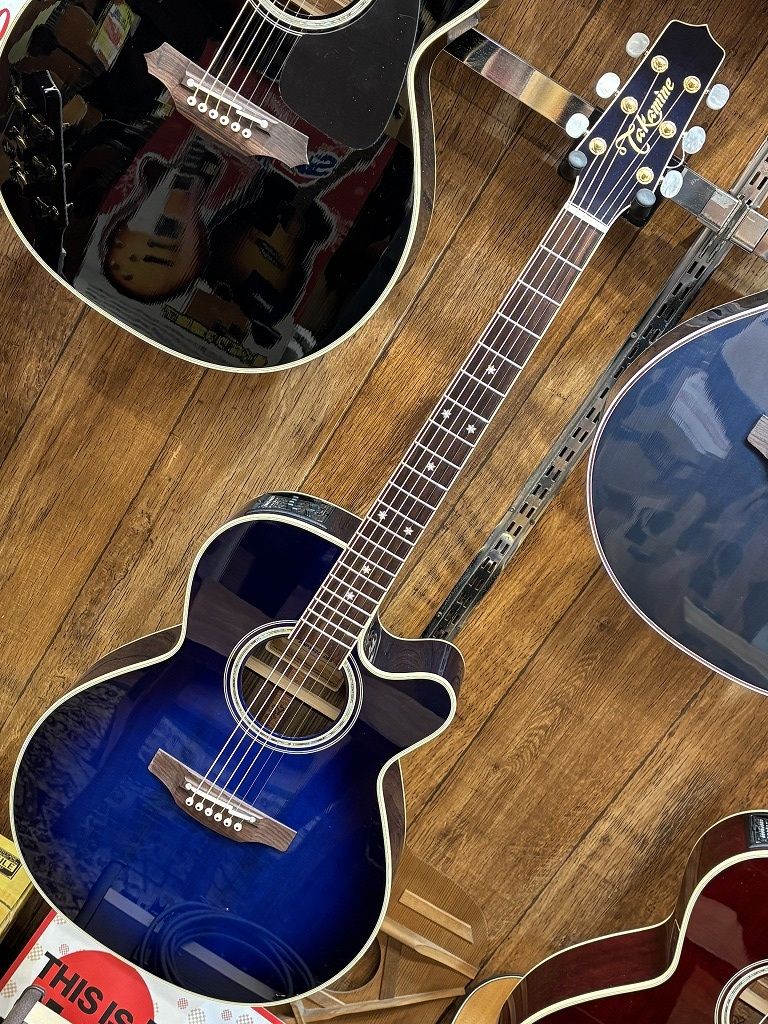 Tara フォロー 100円割引き　 DMP552C | 【クロサワ楽器店オンラインショップ】いい楽器とのいい