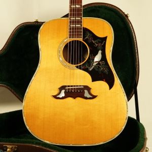 Acoustic World、スプルース、ローズウッドのアコースティックギター