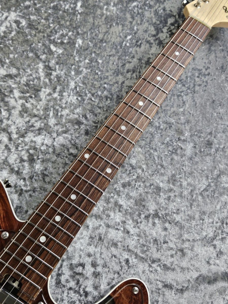 Trad Fullsize T Stabilized Custom | 【クロサワ楽器店オンライン