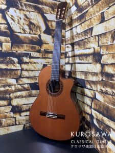 エレガット、シダーのクラシックギター検索結果一覧 | 【クロサワ楽器