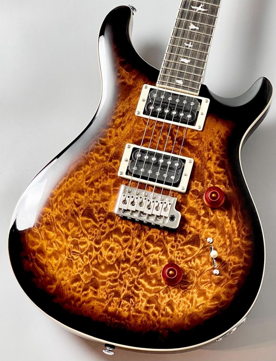 SE Custom 24 Quilt Package-Black Gold Sunburst - | 【クロサワ楽器