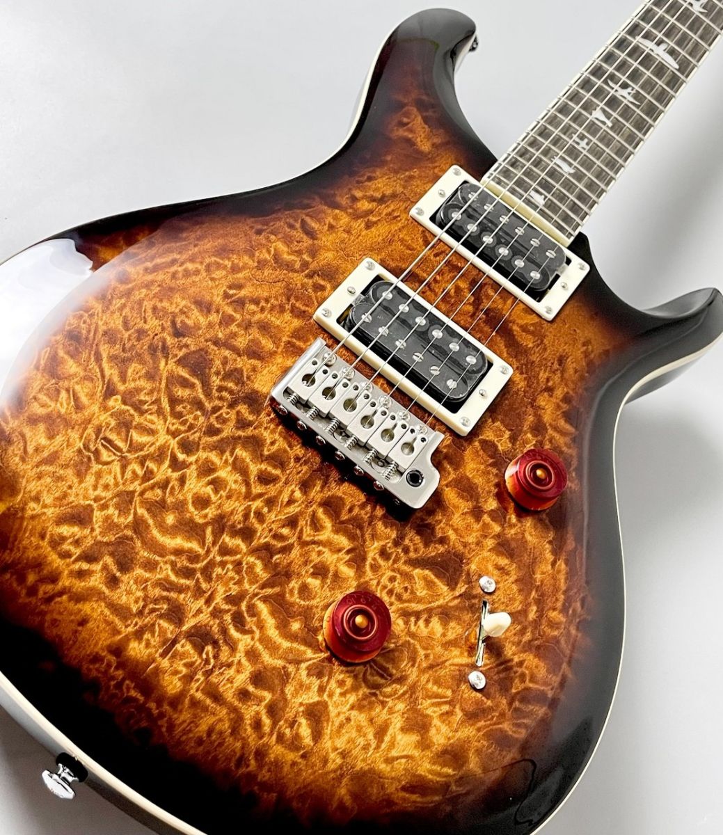 SE Custom 24 Quilt Package-Black Gold Sunburst - | 【クロサワ楽器