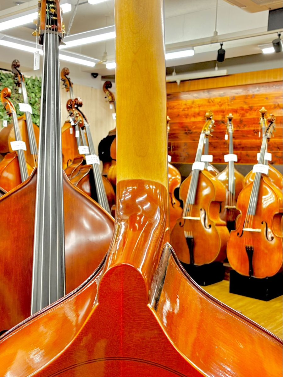 コントラバス/Reghin All Solid/2013年製 コントラバス/Reghin All Solid/2013年製 コントラバス/Reghin All