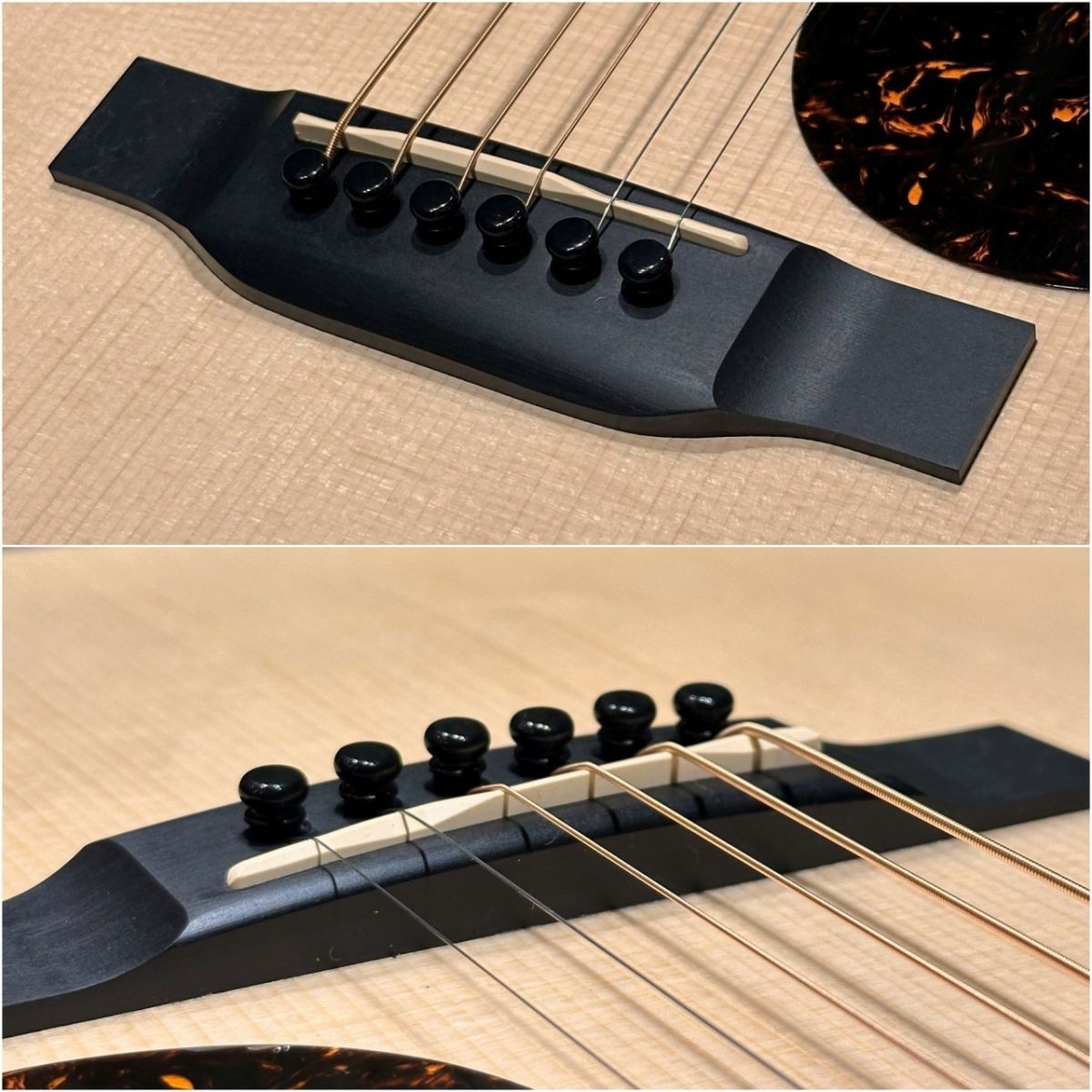 GPC-13E Ziricote #2938368 | 【クロサワ楽器店オンラインショップ