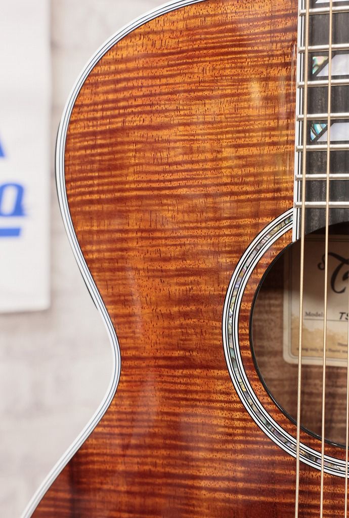 TSP178AC K | 【クロサワ楽器店オンラインショップ】いい楽器とのいい