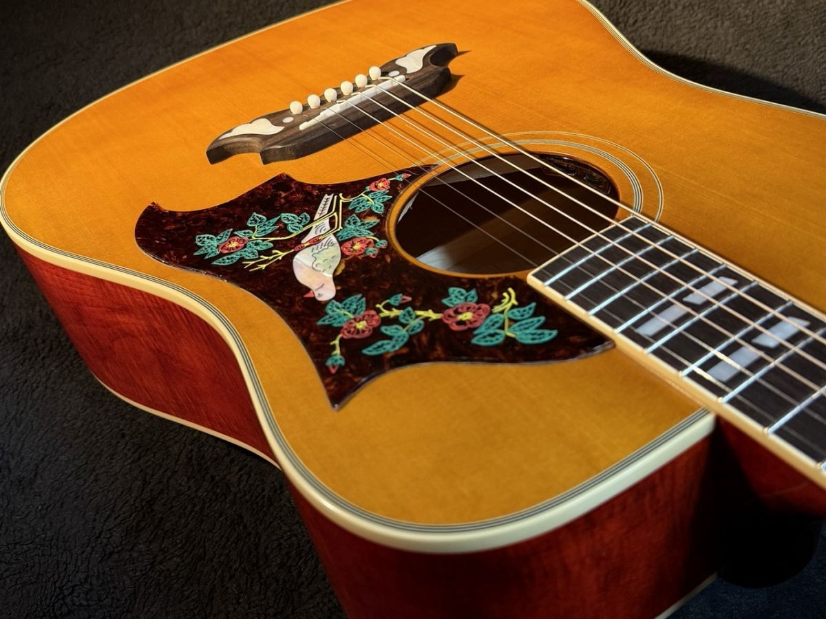 Aria DOVE CUSTOM WD-30/美品 Aria アリア アコースティックギター