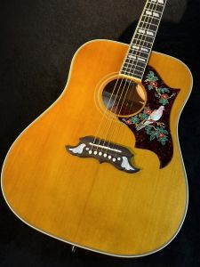 Epiphone、ドレッドノート タイプのアコースティックギター検索結果