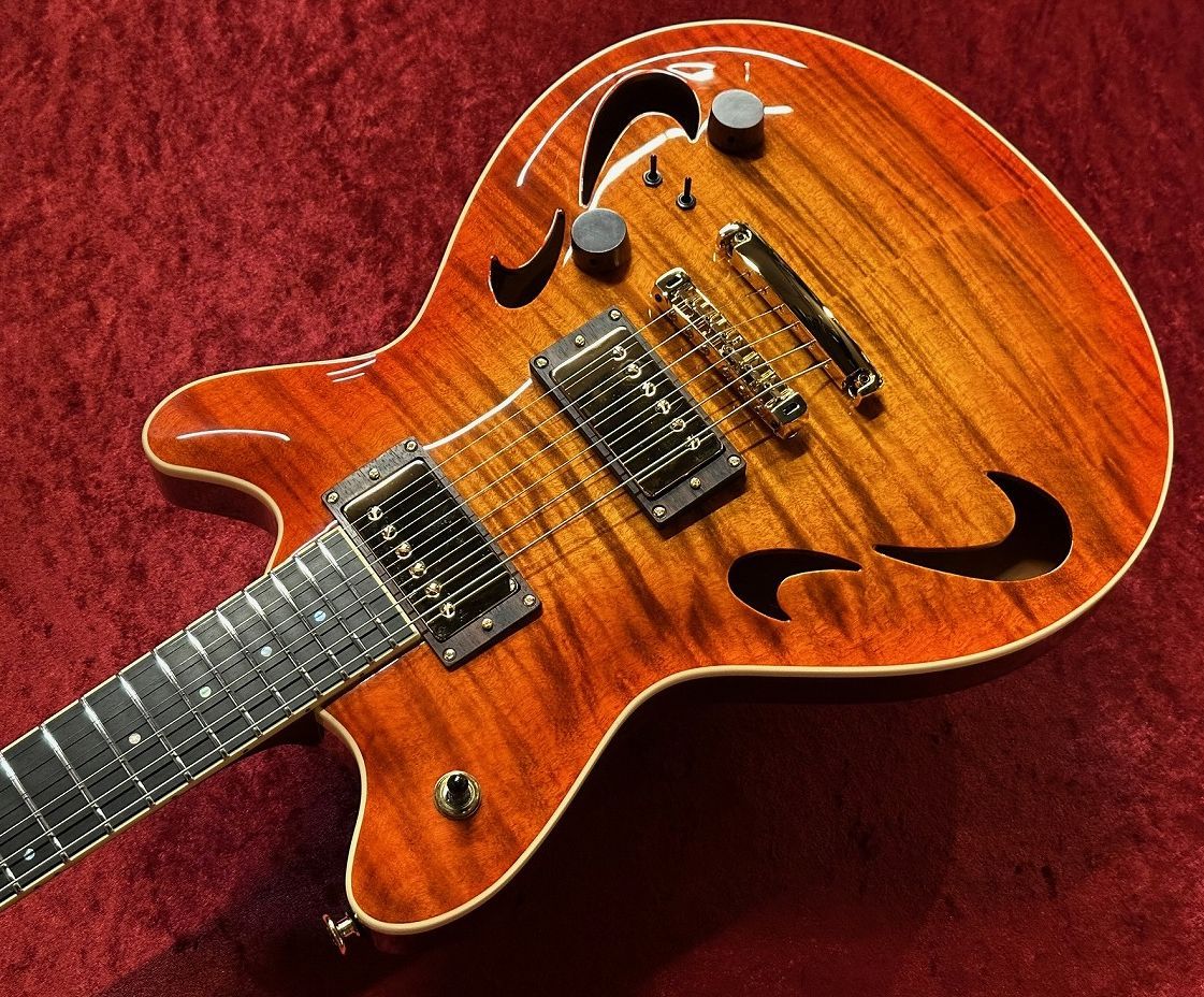 Arc-Hollow22 -Vintage Burst- | 【クロサワ楽器店オンラインショップ