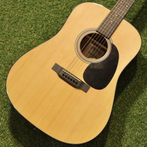 Martin、スプルースのアコースティックギター検索結果一覧