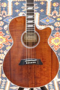 Takamine、20万円～30万円未満のアコースティックギター検索結果一覧