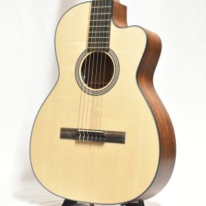 エレクトリックアコースティックギター、エレガットの商品検索結果一覧