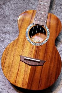 TRUTH TKE-6433 【エクセレントコンサート】【現物写真】【ケースサービス】【池袋店在庫品】 【池袋店在庫品】