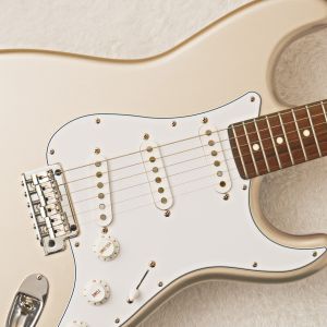 FUJIGEN(FGN)、ローズウッド指板のエレキギター検索結果一覧