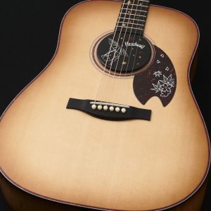 Headway、ドレッドノート タイプのアコースティックギター検索結果一覧