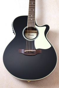 Takamine、サンバースト 系のアコースティックギター検索結果一覧