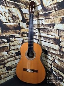 Juan Hernandez ホアン・エルナンデス Profesor Flamenca Elec フラメンコ 黒 エレガット 松・ローズ 【日本総本店2F 在庫品】