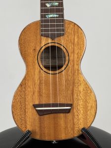  G-Labo CTM G-ORDER -Avalon-DISH1 SM15F