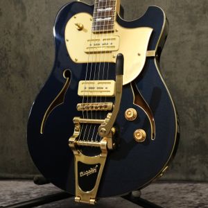 ビグスビータイプ、ハードケースのエレキギター検索結果一覧