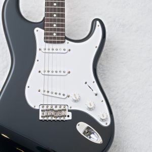エレクトリックギター、FUJIGEN(FGN)のエレキギター検索結果一覧