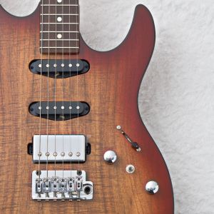エレクトリックギター、FUJIGEN(FGN)のエレキギター検索結果一覧