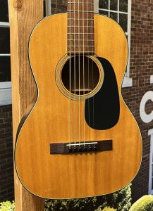 Martin、マホガニーのアコースティックギター検索結果一覧