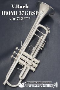 シルバー トランペット バルブ式 シルバー 系、金管楽器の管楽器検索結果一覧 | 【クロサワ楽器店