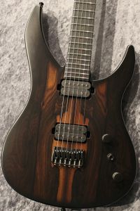 RUF Guitars Professor Series Schr?dinger 6 Ziricote #SCH2024041606 【オールカーボンギター】【3.61kg】