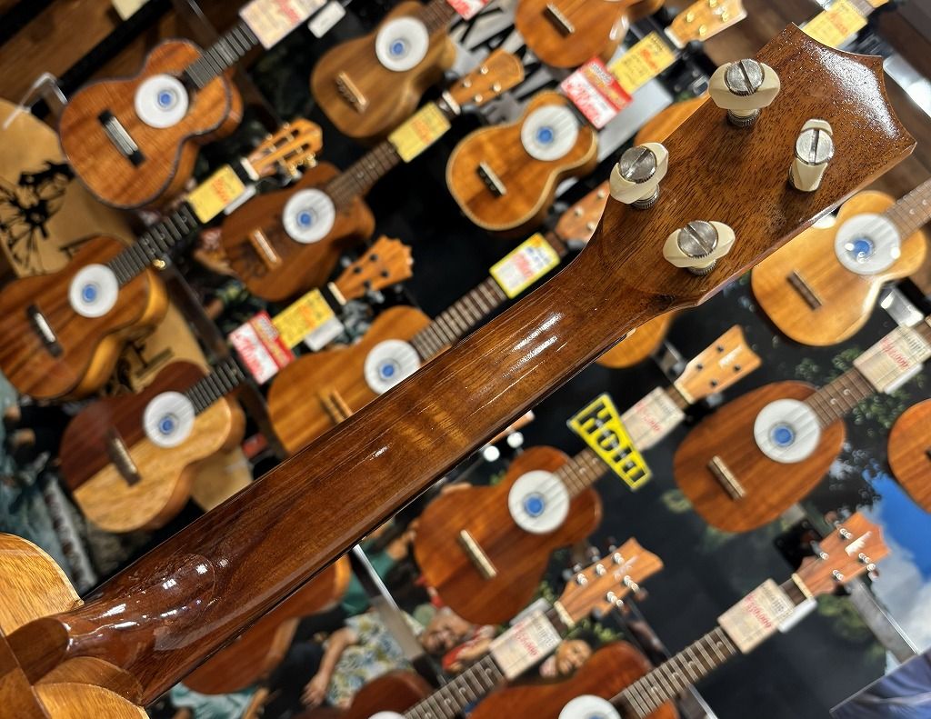 HB-2D | 【クロサワ楽器店オンラインショップ】いい楽器とのいい出会い