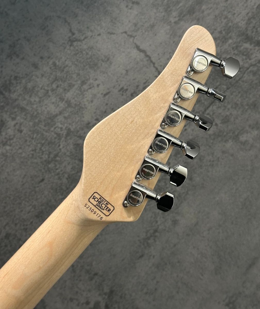 SD-2-24-AL ~Aqua Blue~ #S2509176 | 【クロサワ楽器店オンライン