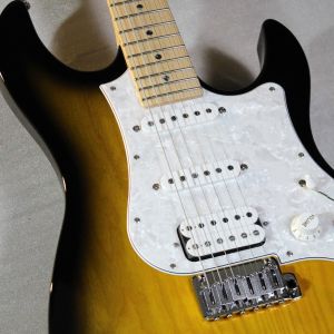 エレクトリックギター、FUJIGEN(FGN)のエレキギター検索結果一覧