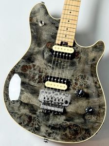 PEAVEYのエレキギター検索結果一覧 | 【クロサワ楽器店オンライン