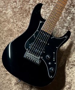 30万円～50万円未満、7弦のエレキギター検索結果一覧 | 【クロサワ楽器