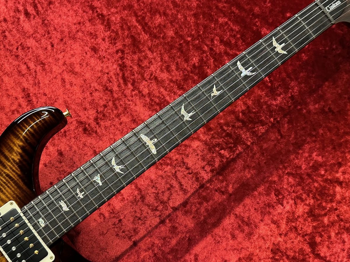 Custom 24 10 Top -Black Gold Wraparound Burst- | 【クロサワ楽器店