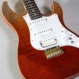 FUJIGEN(FGN)、アッシュのエレキギター検索結果一覧 | 【クロサワ楽器