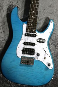 Schecter エレキギター 青 ストラトキャスター Schecter エレキギター 青 ストラトキャスター Schecter エレキギター