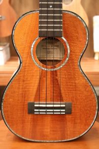 Kamaka 【早割決算セール!】 HF-2D2I 2021年製 【最大48回分割無金利】