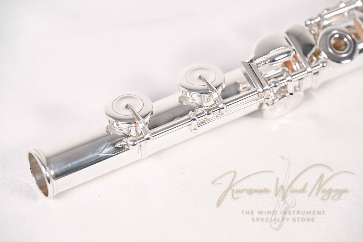 DS RCE s/n92*** | 【クロサワ楽器店オンラインショップ】いい楽器との