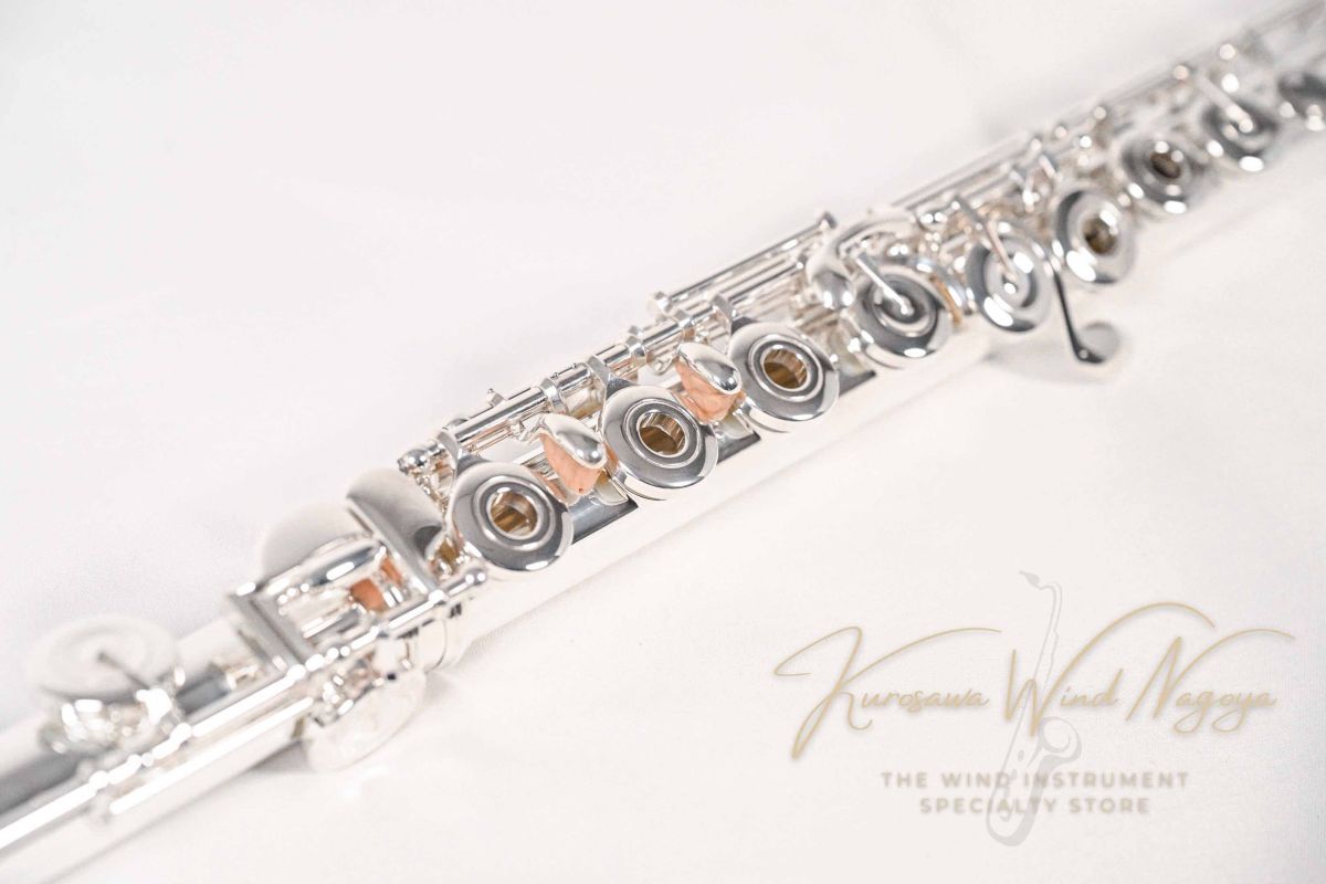 DS RCE s/n92*** | 【クロサワ楽器店オンラインショップ】いい楽器との