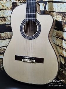 エレガット、日本総本店クラシックギター専門店のクラシックギター検索