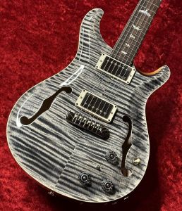 Paul Reed Smith(PRS)、ハードケースのエレキギター検索結果一覧