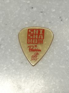 Provision SHISHAMO 宮崎朝子 シグネチャーピック×10枚